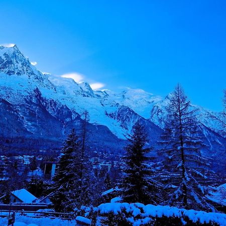 "Chalet Bobo" Cosy & Magnifique Vue Chx Sud Шамони Экстерьер фото